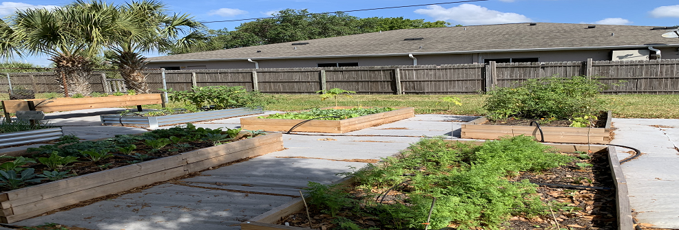 sample community Garden stretch